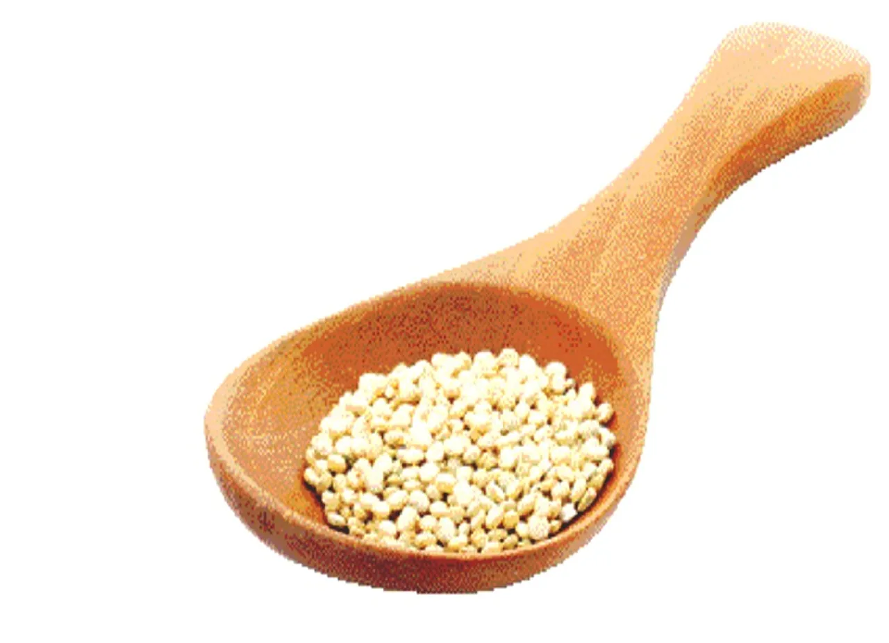 சத்தான சிறுதானிய உணவுகள்...  ரூ.500 முதலீட்டில் பிஸினஸும் செய்யலாம்