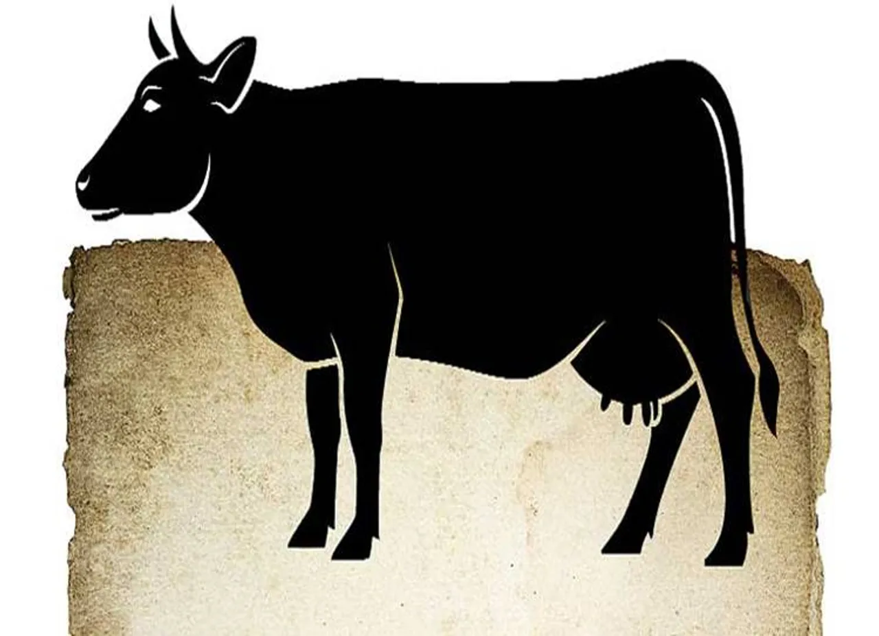 cow thieves, Jalpaiguri district, west bengal, பசு கடத்தல், மேற்கு வங்கம், அடித்துக் கொலை, கால்நடை, இஸ்லாமியர்கள், cow slaughter, Muslims