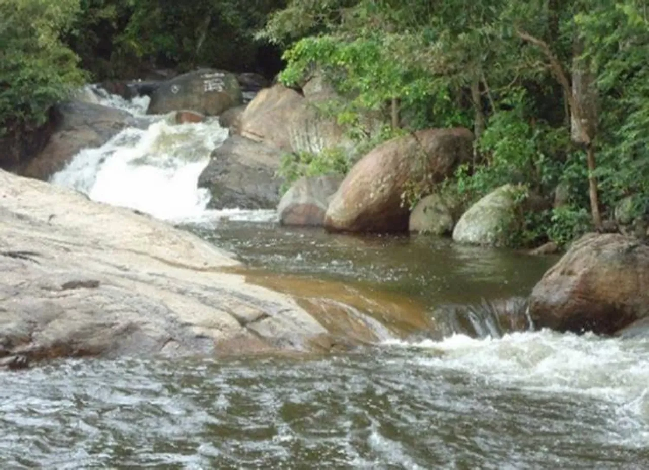 கும்பக்கரை அருவியில் குளிக்க விதிக்கப்பட்ட தடை 2 அல்லது 3 நாட்களில் நீங்கும்