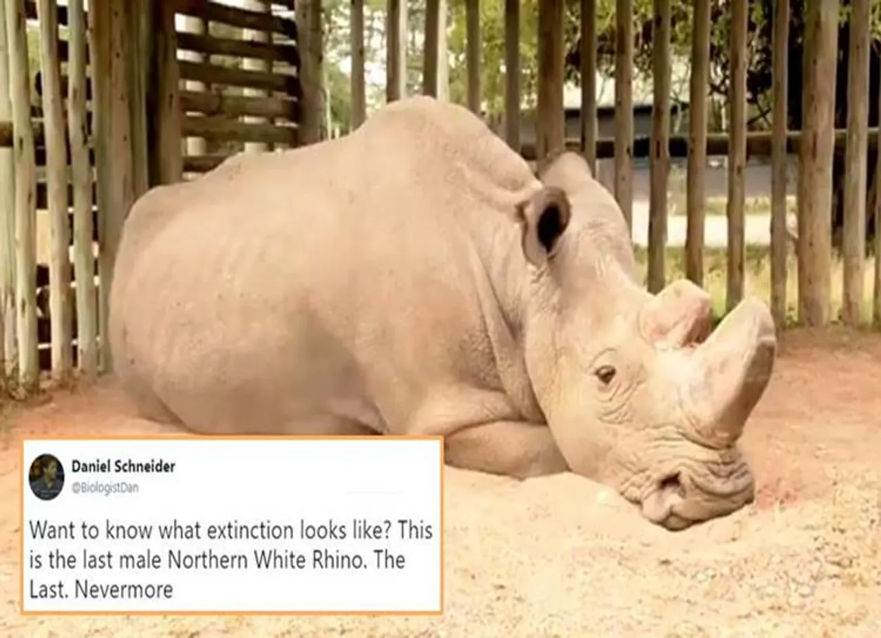global warming, industrialisation, poaching, climate change