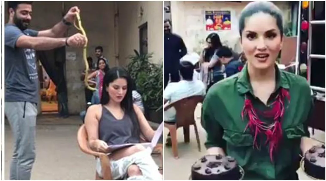 sunny leone,sunny leone videos, sunny leone latest video, sunny leone news