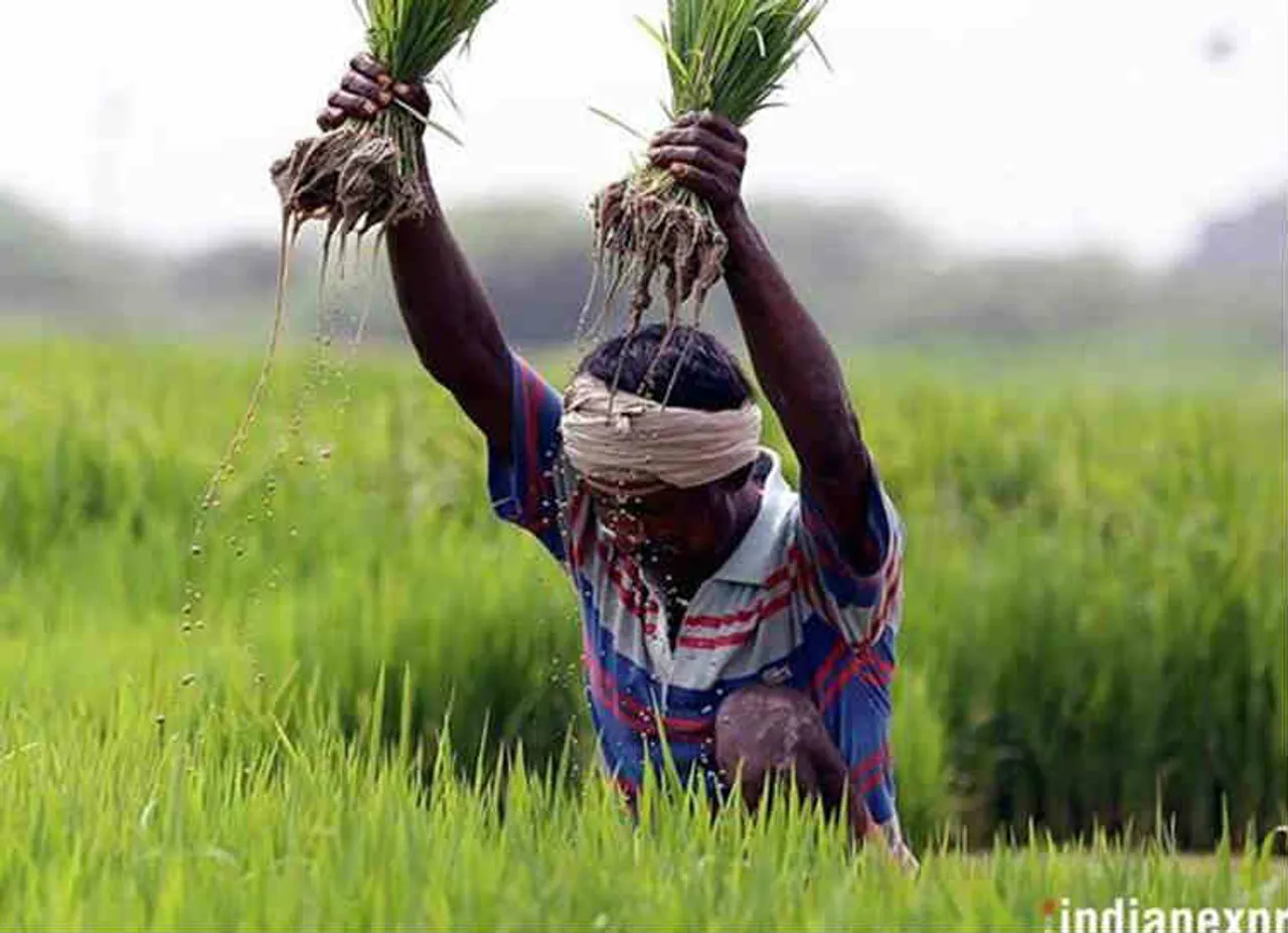 farmer
