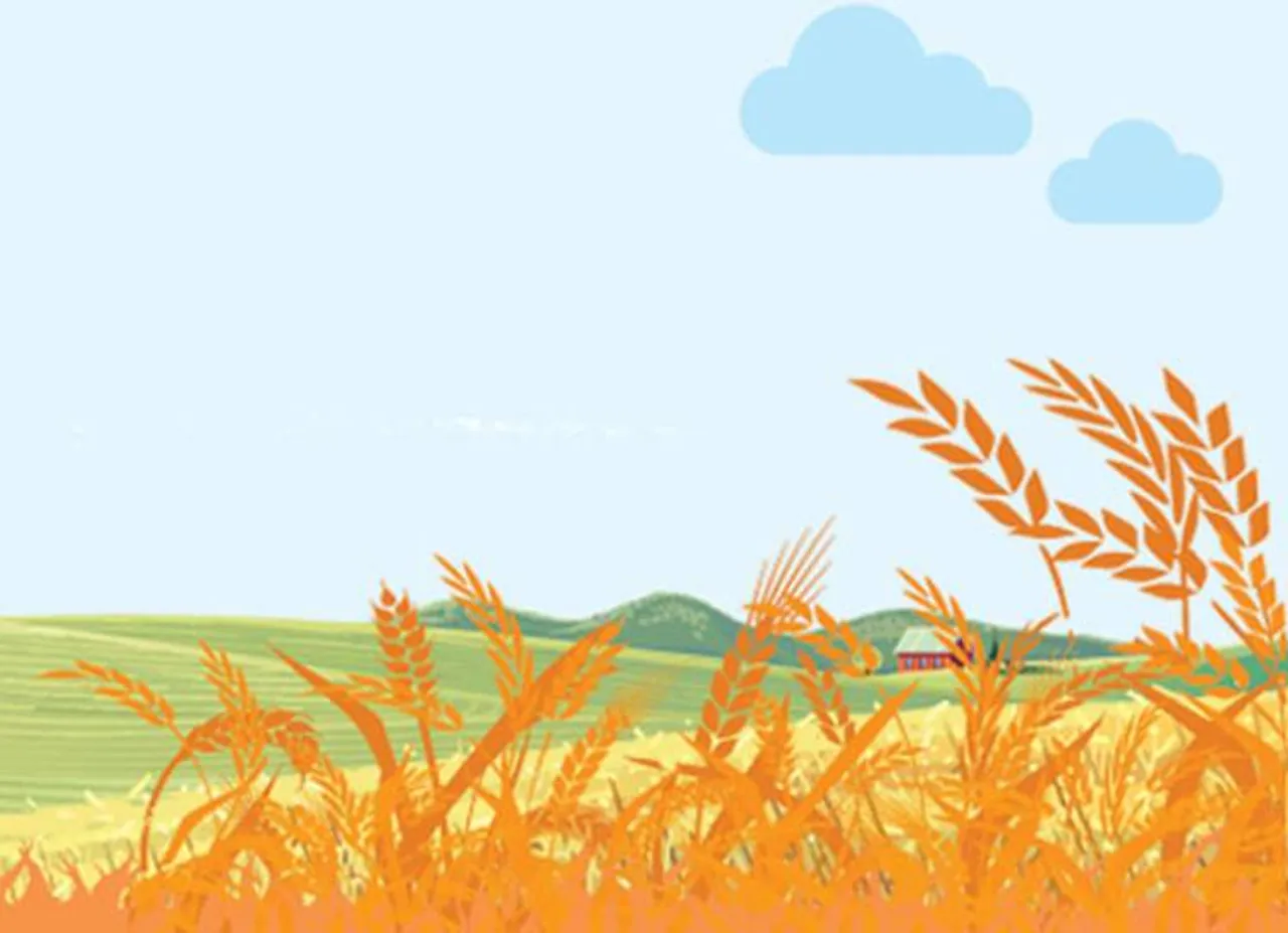 farmers