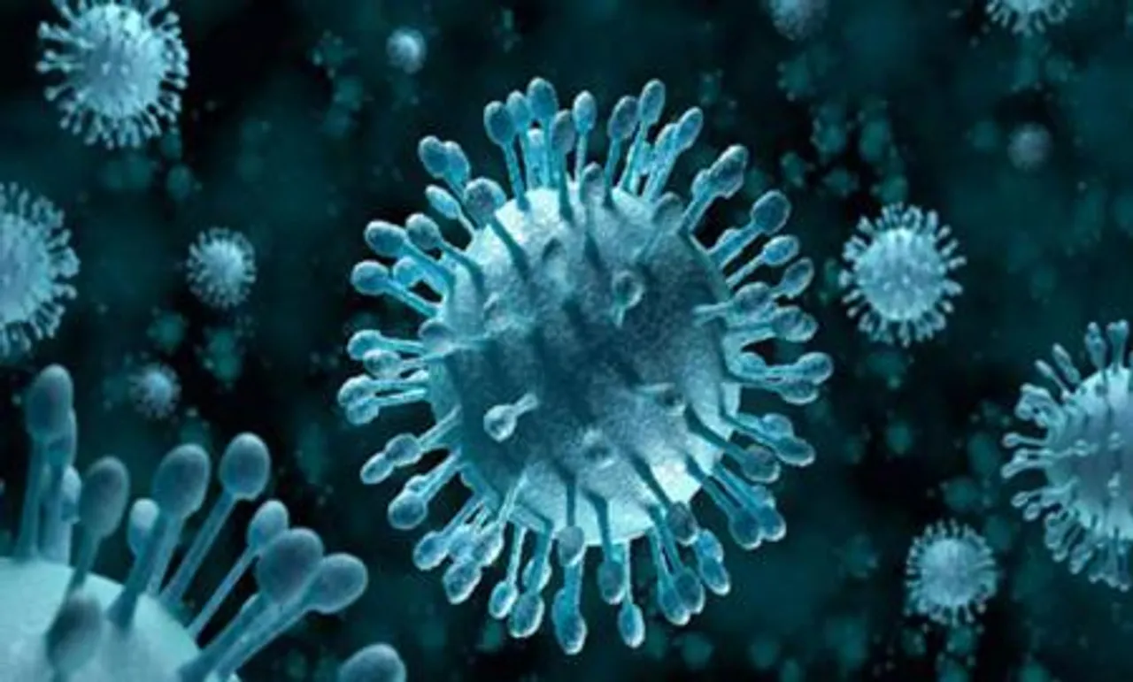 nipah virus