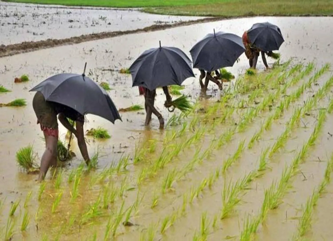 Paddy Minimum Support Price Hike