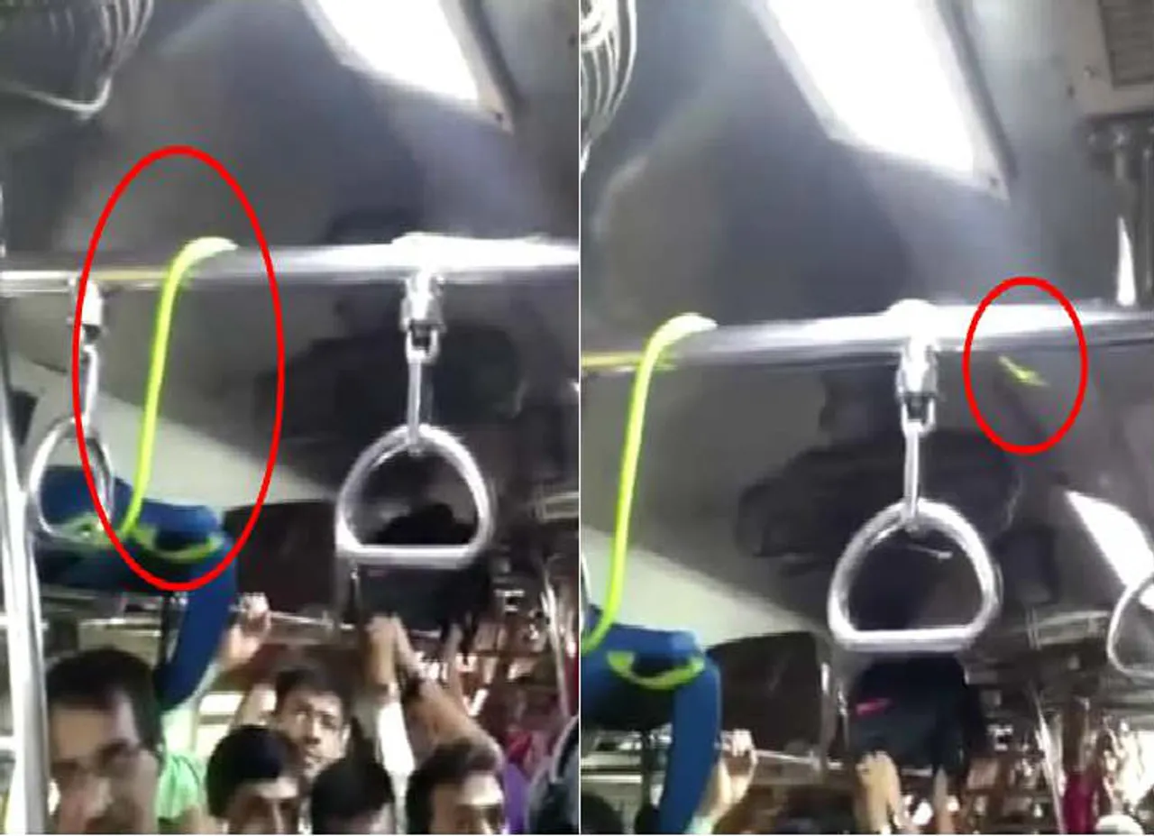 ரயிலில் பாம்பு