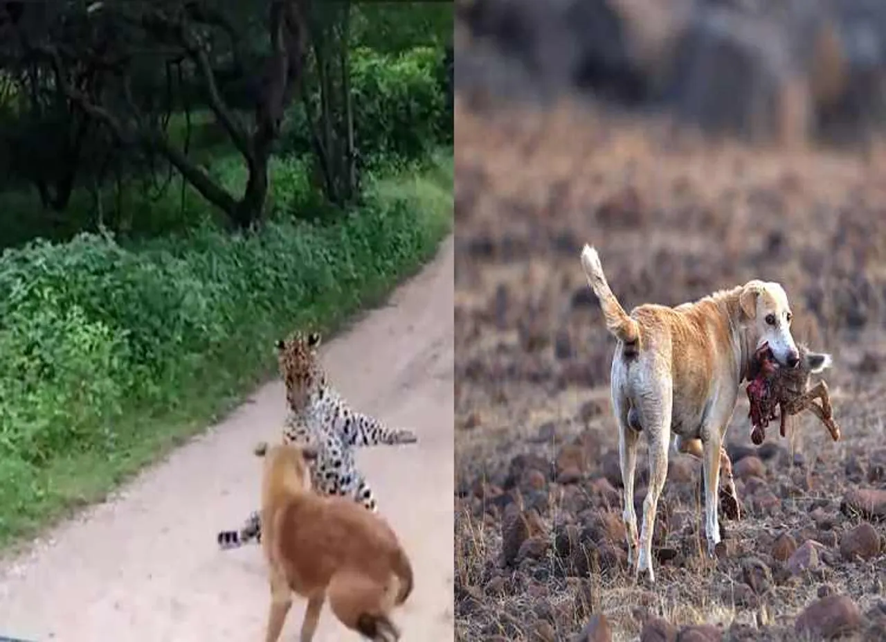 வைரல்