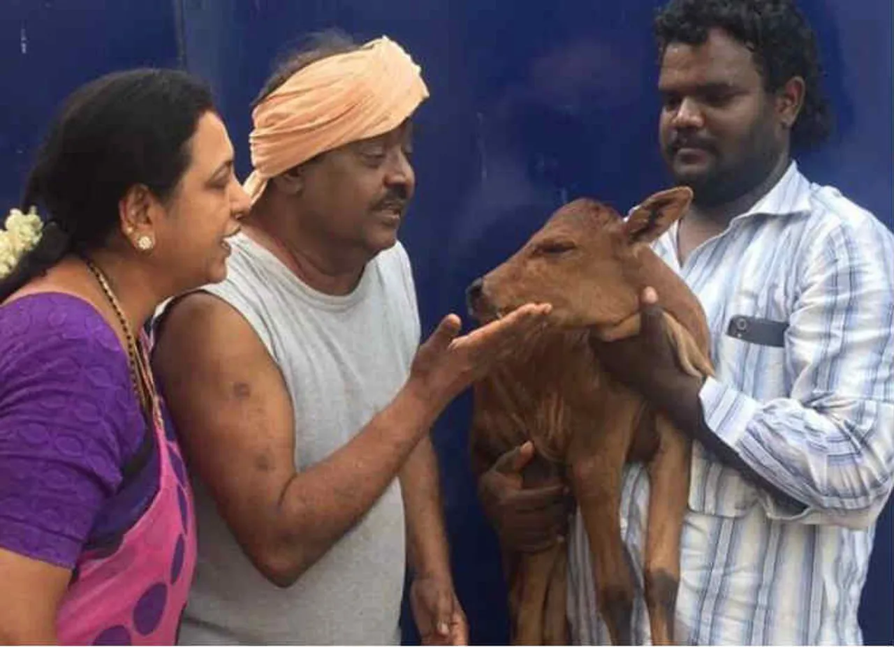 cow missing in vijayakanth house, விஜயகாந்த்