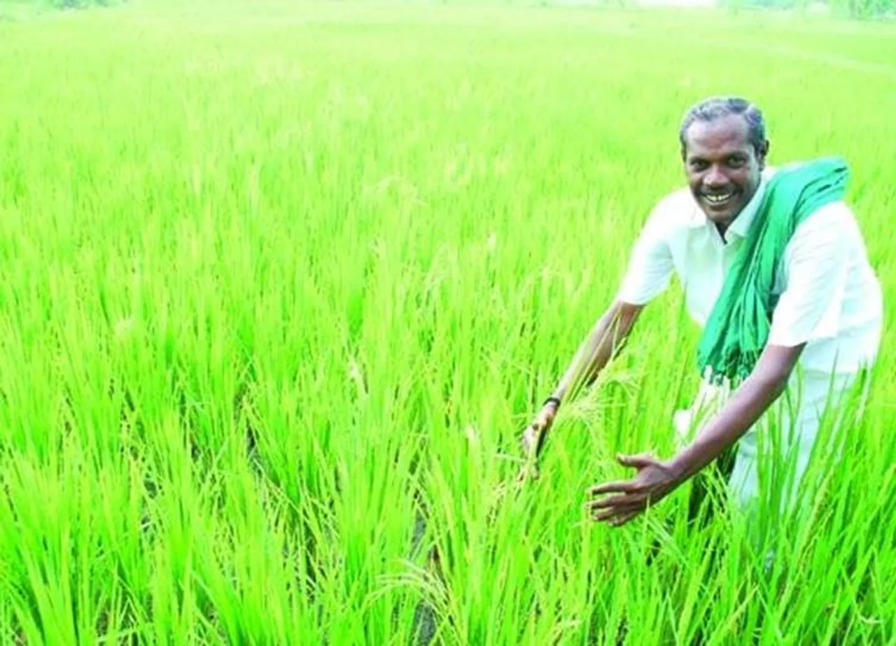 நெல் ஜெயராமன் மரணம் , பாரம்பரிய நெற்பயிர்கள்