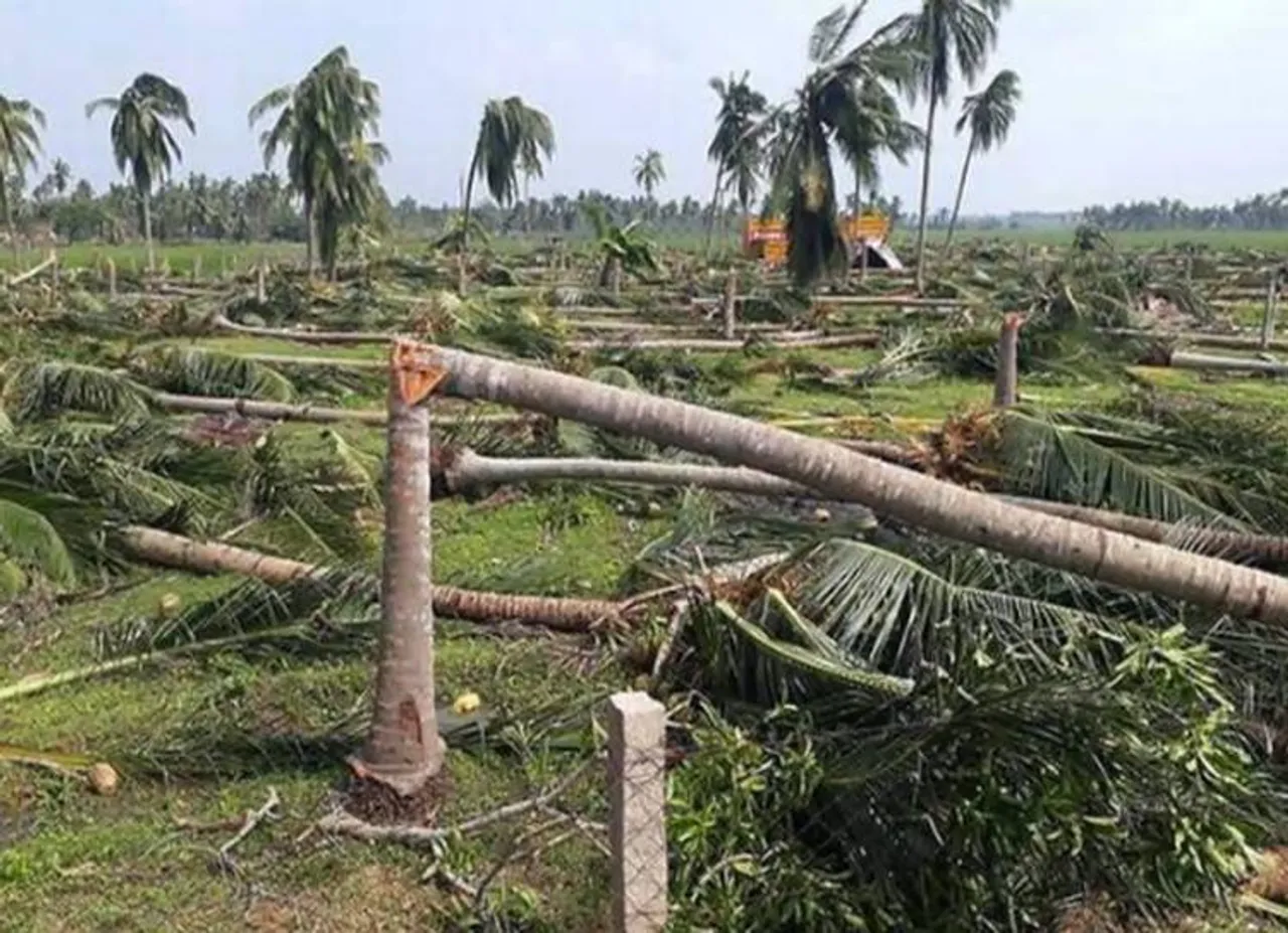 கஜா புயல் நிவாரணம்: ரூ.1,146 கோடி ஒதுக்கியது மத்திய அரசு
