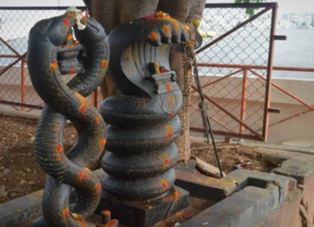 rahu ketu peyarchi 2019 - ராகு கேது பெயர்ச்சி: நாகநாதசுவாமி கோயிலில் திரளும் பக்தர்கள் கூட்டம்!