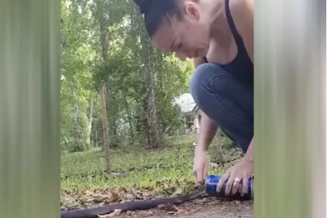 snake viral video