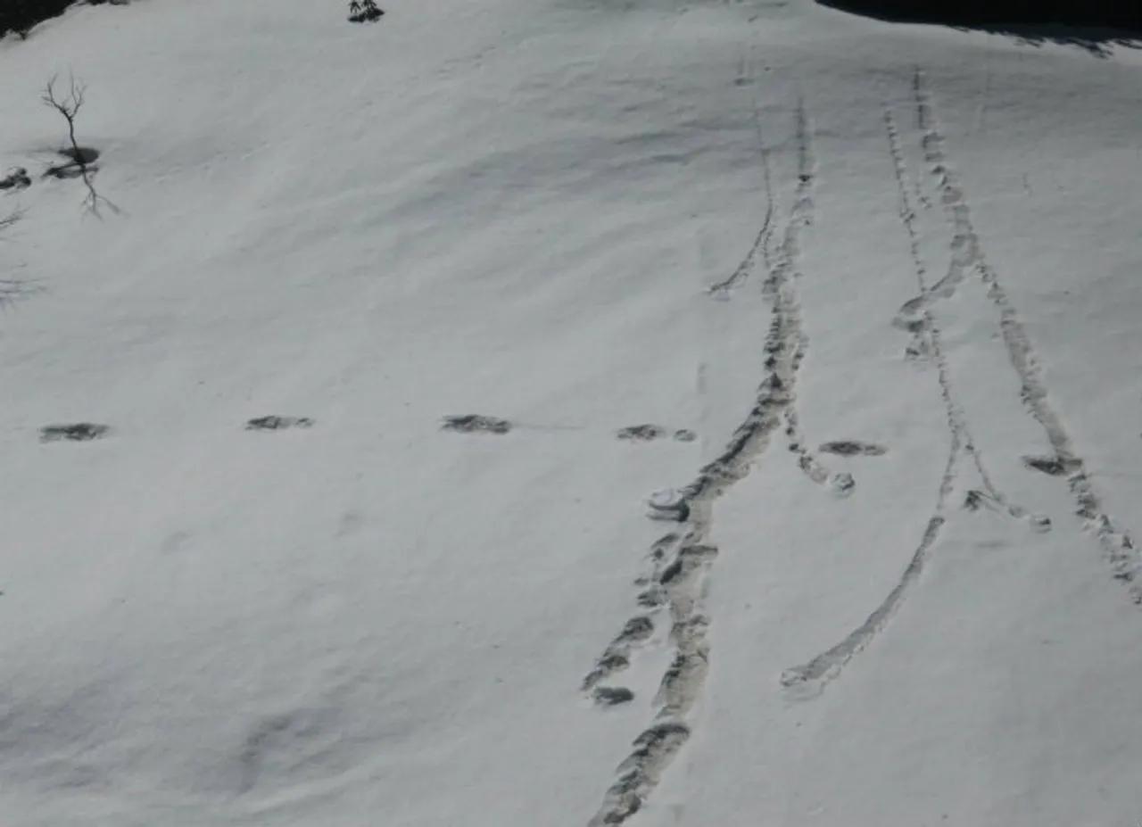 Himalayan Yeti Myths