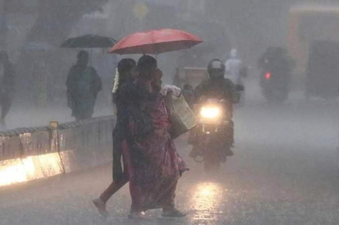Chennai Weather News In Tamil, Weather News, Weather News Today, வானிலை அறிக்கை, இன்றைய வானிலை