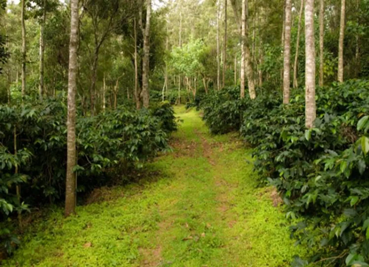TNFUSRC Recruitment 2019 Direct Recruitment for Forest Watcher post - காடுகளை ஆள செல்வோமா? வனக்காவலர் பணியிடங்களுக்கு நேரடி நியமனம்! முழு விவரம் இதோ