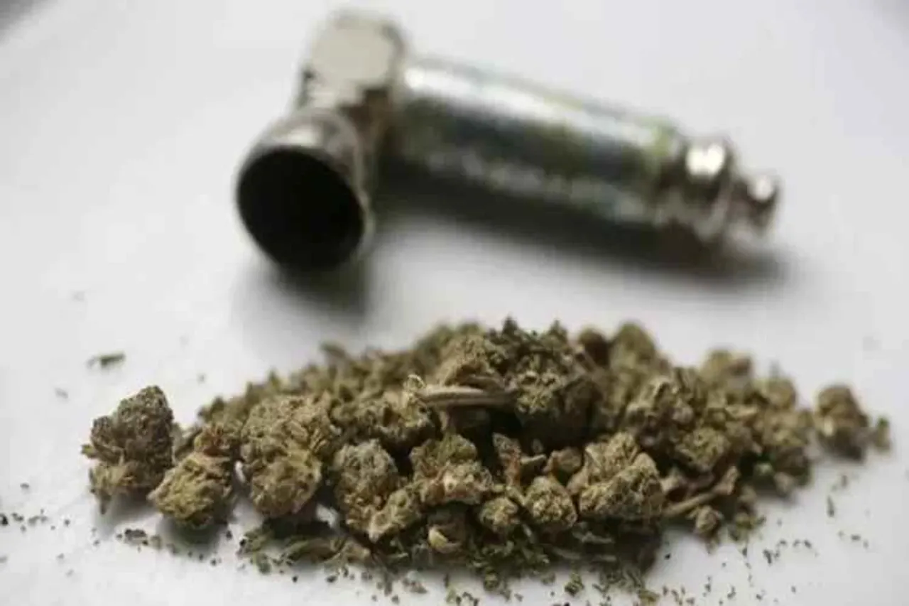 5 Engineering Students Arrested, Marijuana Selling Student arrested, 5 பொறியியல் மாணவர்கள் கைது, கஞ்சா விற்பனை செய்த மாணவர்கள் கைது, 5 Engineering Students arrested in Hyderabad,Students arrested in Hyderabad