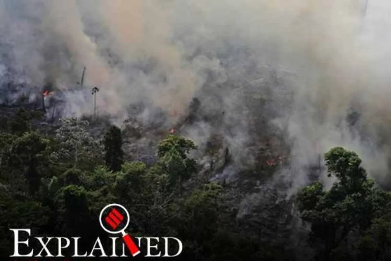 amazon forest fire, amazon fire, brazil president on amazon fires, fires in the amazon, அமேசான் காடுகளில் தீ விபத்து, அமேசான் காடுகள் அழிப்பு, amazon rainforest fires, amazon fire photos,Counting Amazon fires, assessing amazon forest lost