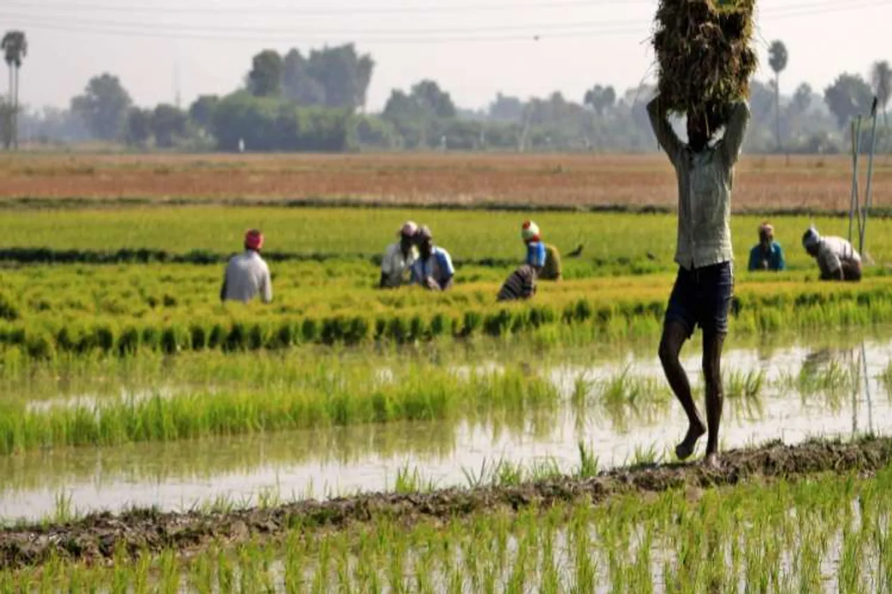 மிஸ் பண்ணாதீங்க... இப்போதும் விண்ணப்பிக்கலாம்: வருடம் ரூ6000 மத்திய அரசு உதவி