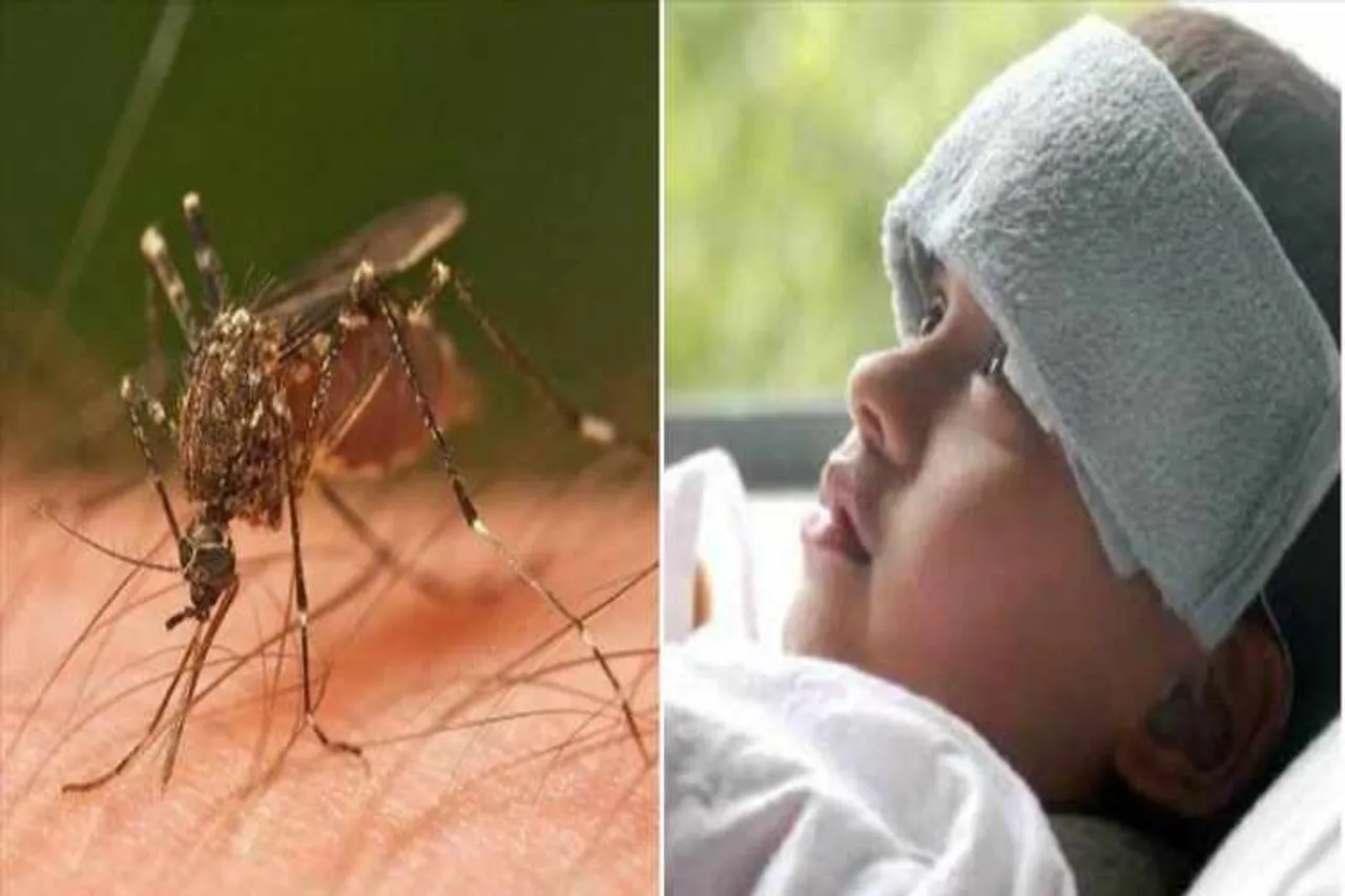 Dengue disease alert city hospitals run out of beds, Chennai,dengue fever,dengue cases in tamil nadu,dengue cases in chennai,coimbatore medical college