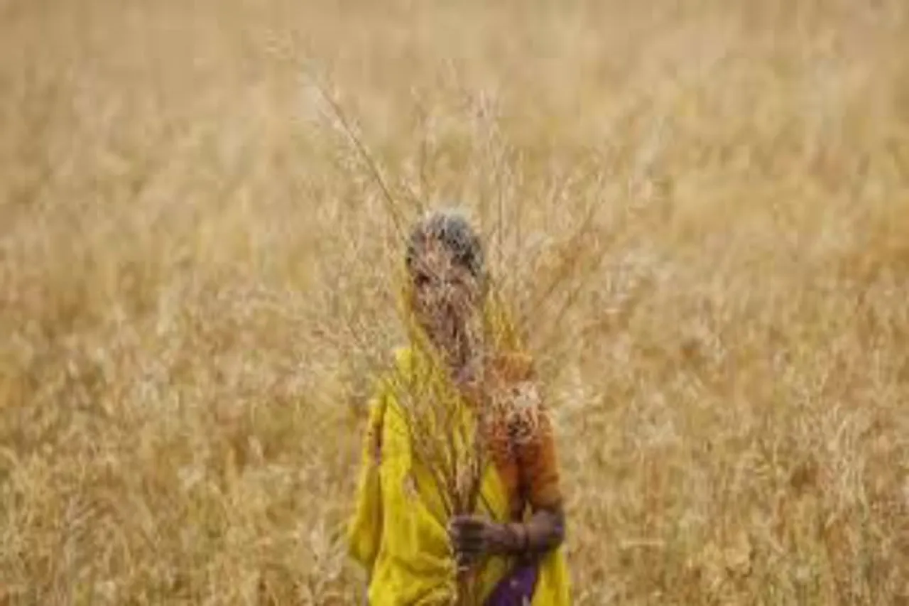 விவசாயக் கடன் தள்ளுபடி:  சாதகமா? பாதகமா? ஒரு முழு ஆய்வு