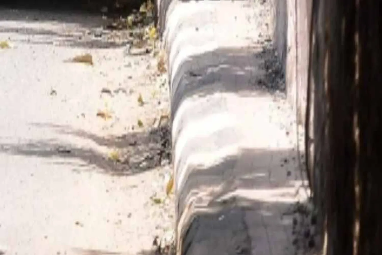 chennai, chennai footpath, sardar patel road, chennai pedastrians, சென்னை சர்தார் படேல் சாலை, 10 அங்குல நடைபாதையால் பாதசாரிகள் சிரமம், pedestrians irks, pedestrians demand, very small pedestrian in sardar patel road, Ten-inch footpath