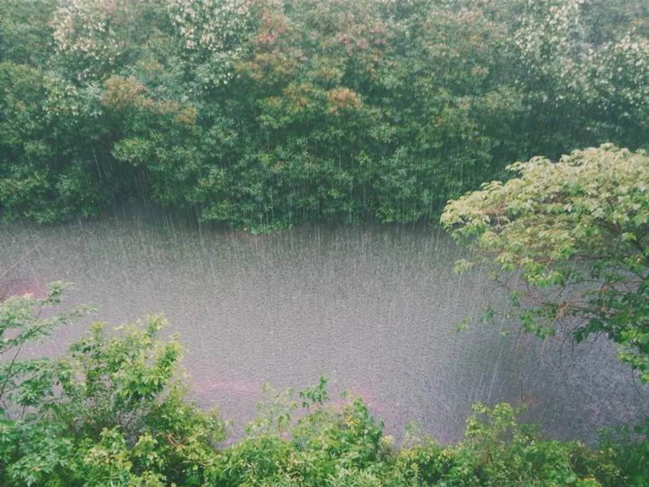 Chennai weather latest updates heavy rain alert, northeast monsoon, Chennai weather latest updates heavy rain alert