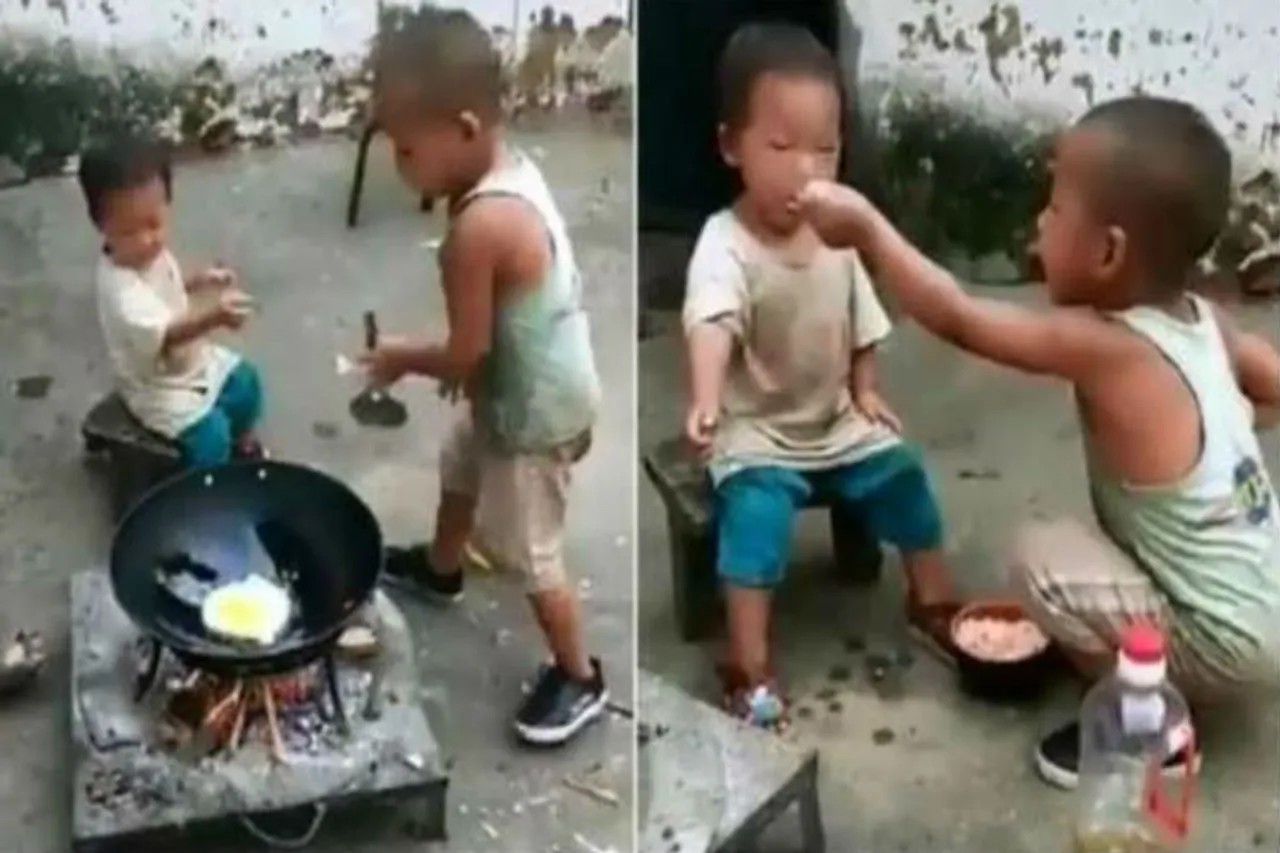 twitter viral videos
