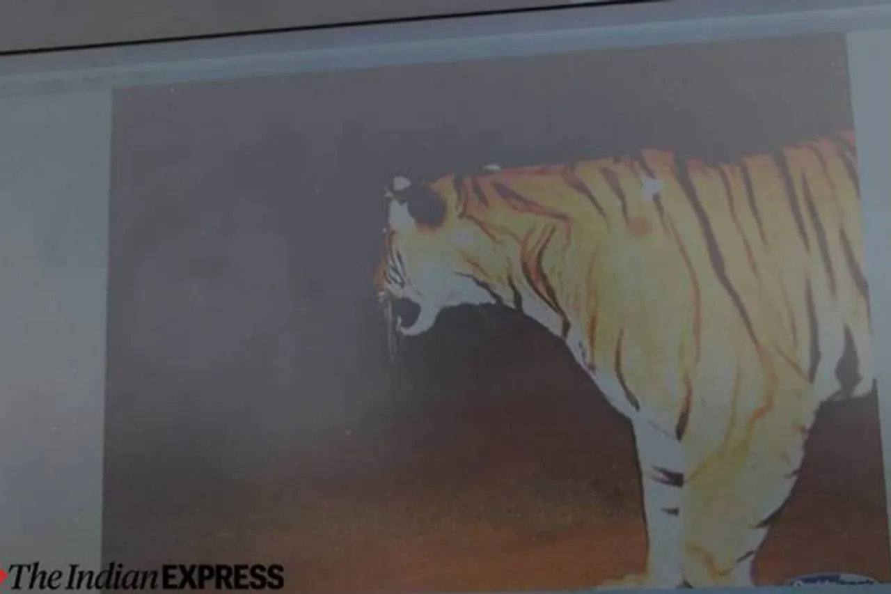 Bandipur tiger reserve