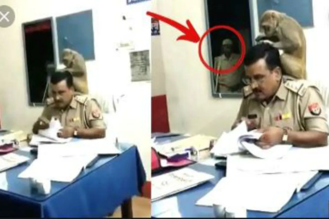 twitter viral today video