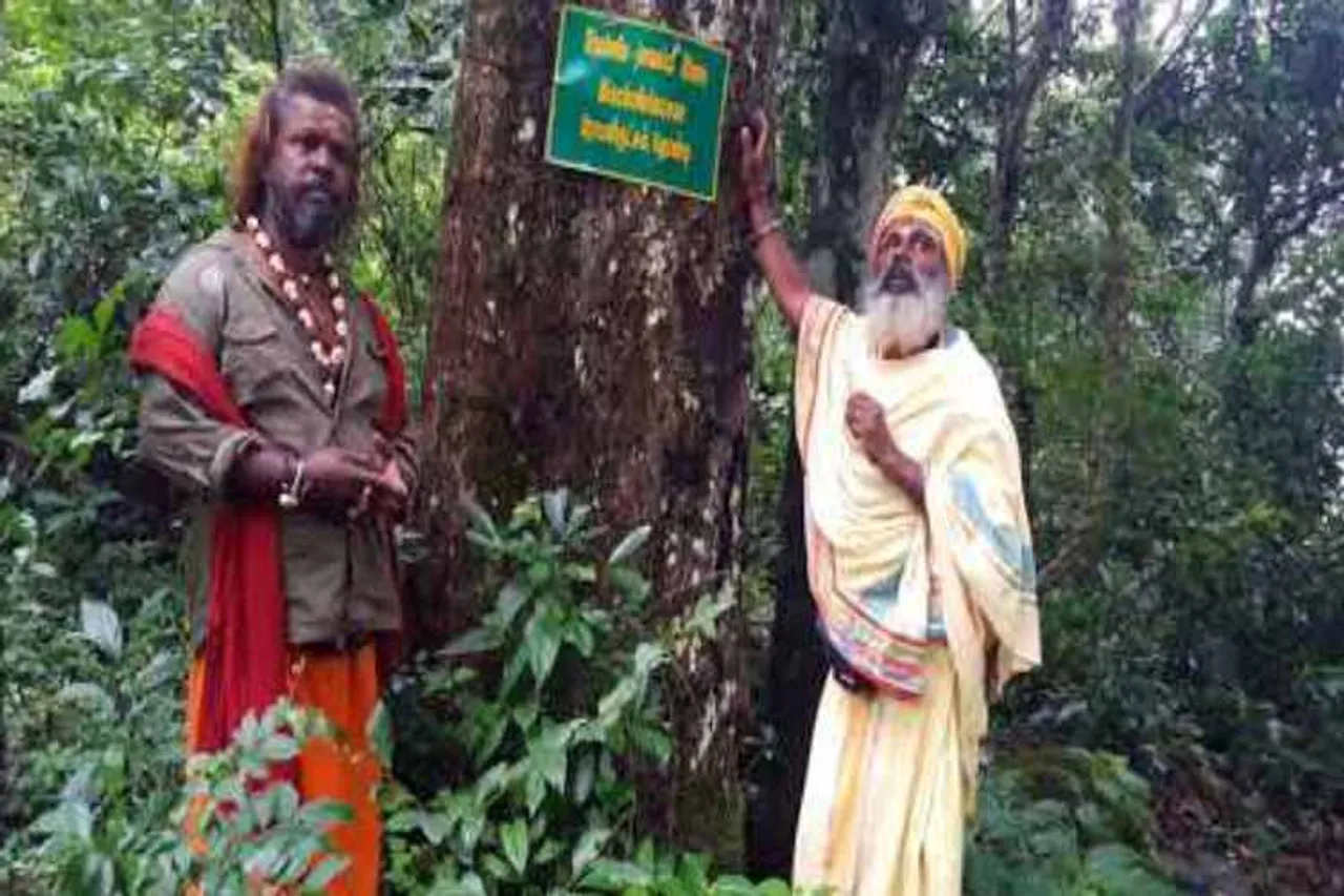 Kollimalai, incredible, place, siddhar,lives