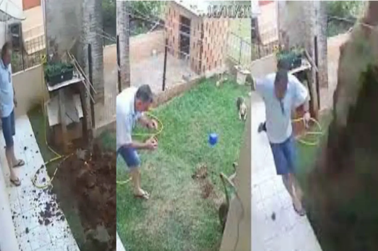 social media viral video today