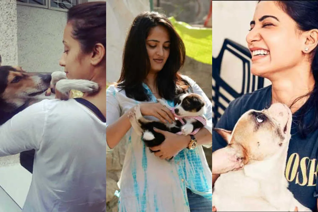 Celebrities with their pets