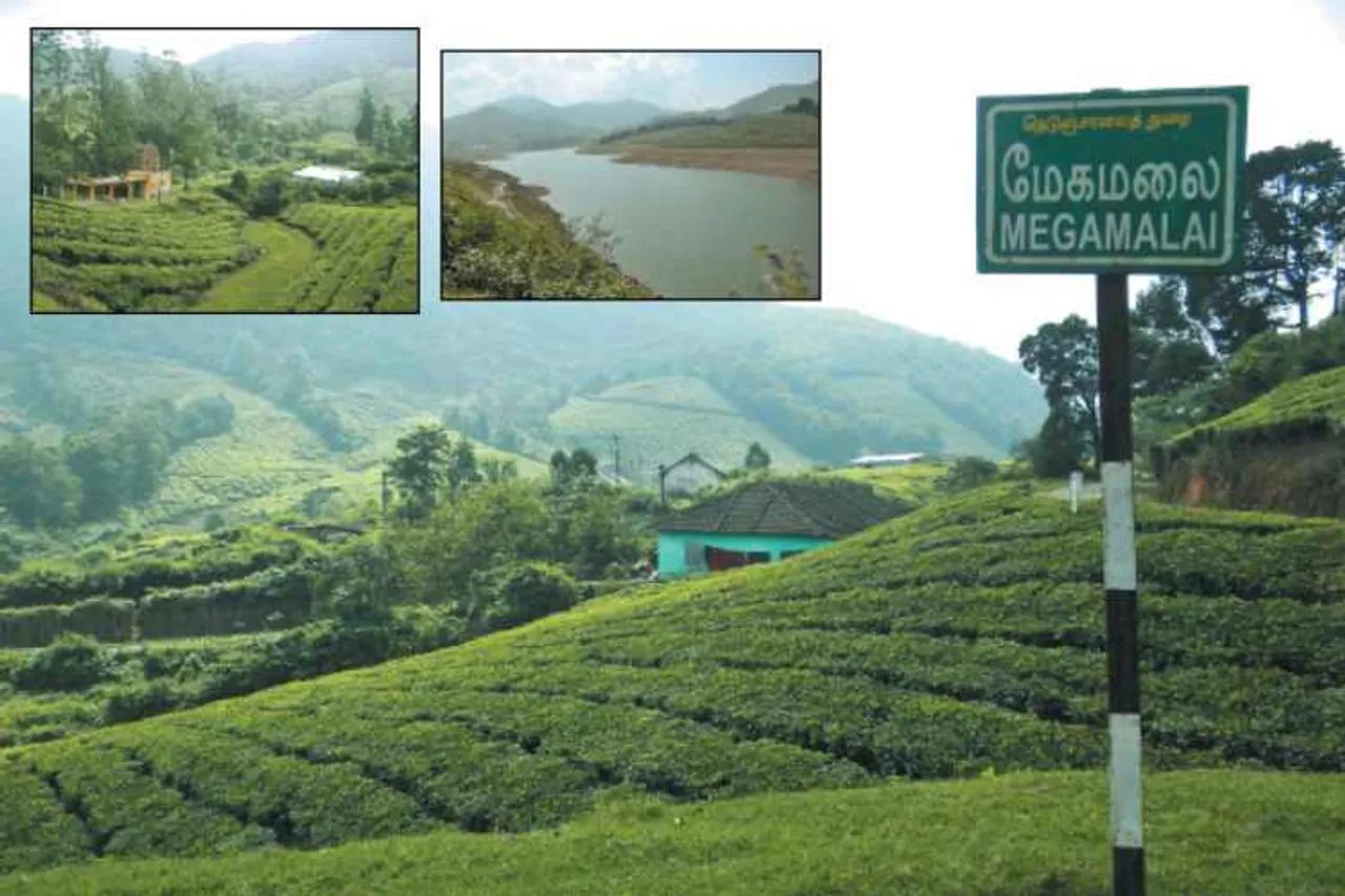 Theni, meghamalai,hills,overview