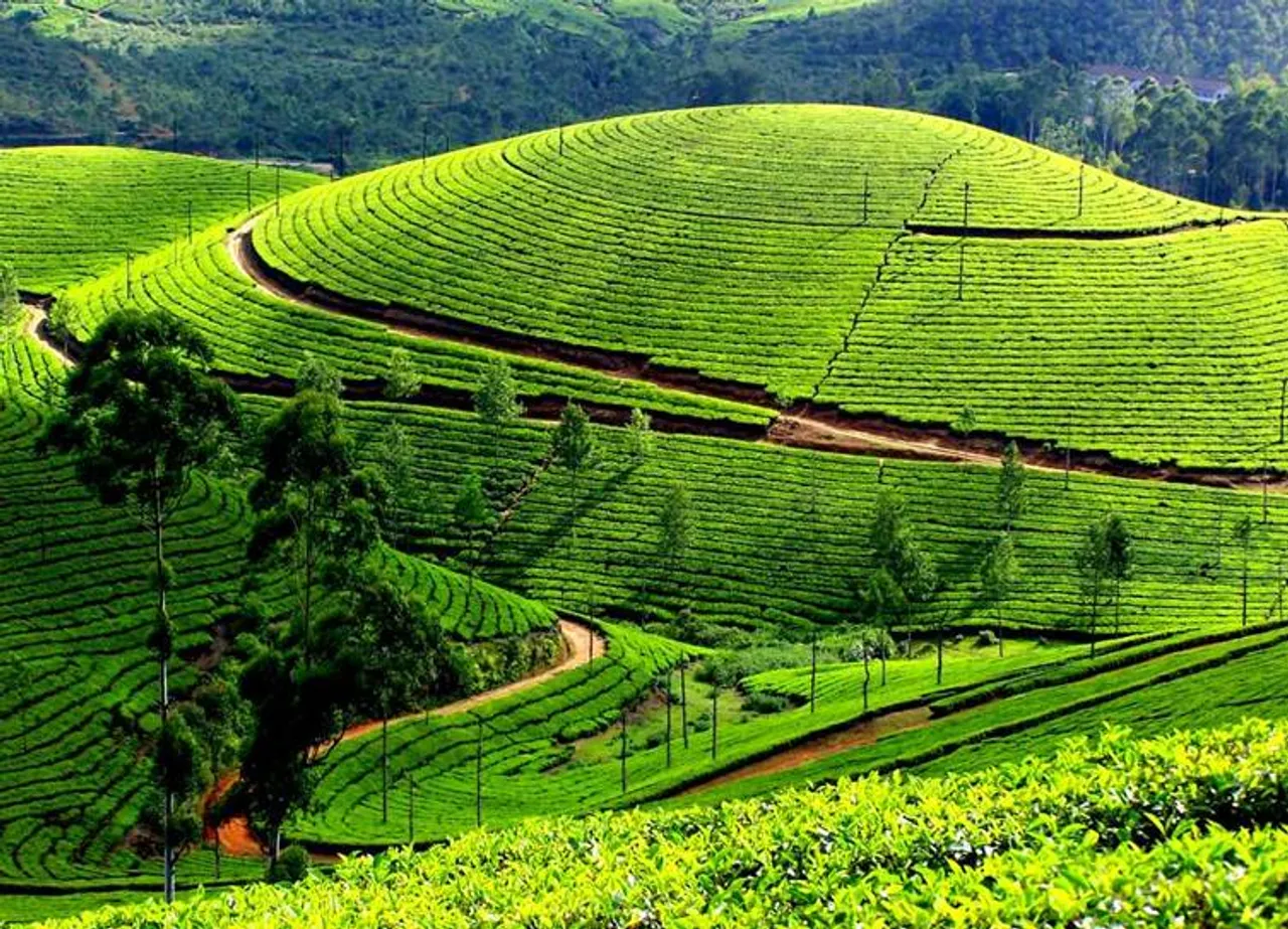 IRCTC tour package Chennai-Munnar-Thekkady Rail Tour