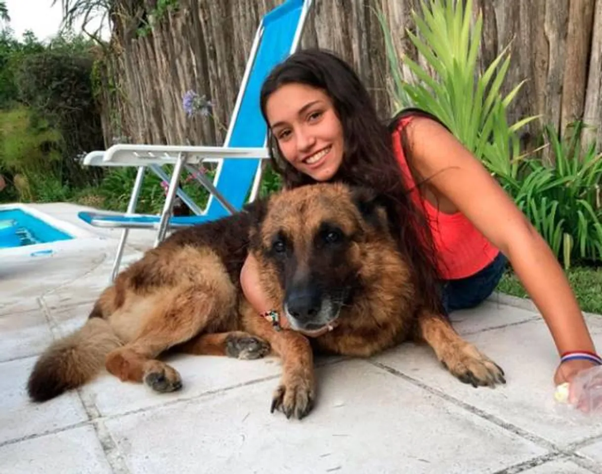 Teen's photoshoot goes wrong when dog bites face leaving her 40 stitches - நாயுடன் செல்பி எடுக்க ஆசைப்பட்ட இளம் பெண் - முகத்தில் 40 தையல்