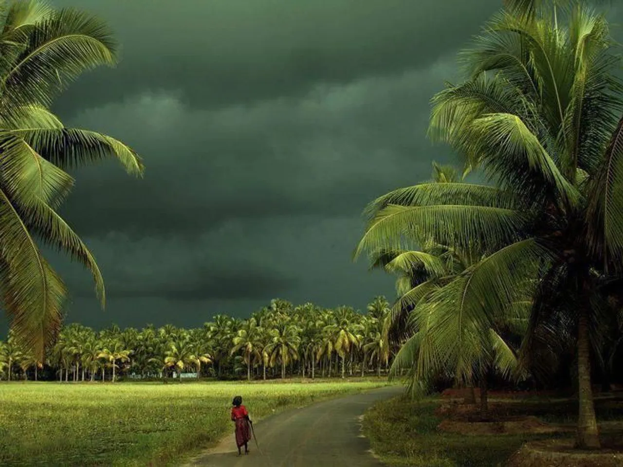 Tamil Nadu total district counts, pollachi photos, pollachi images