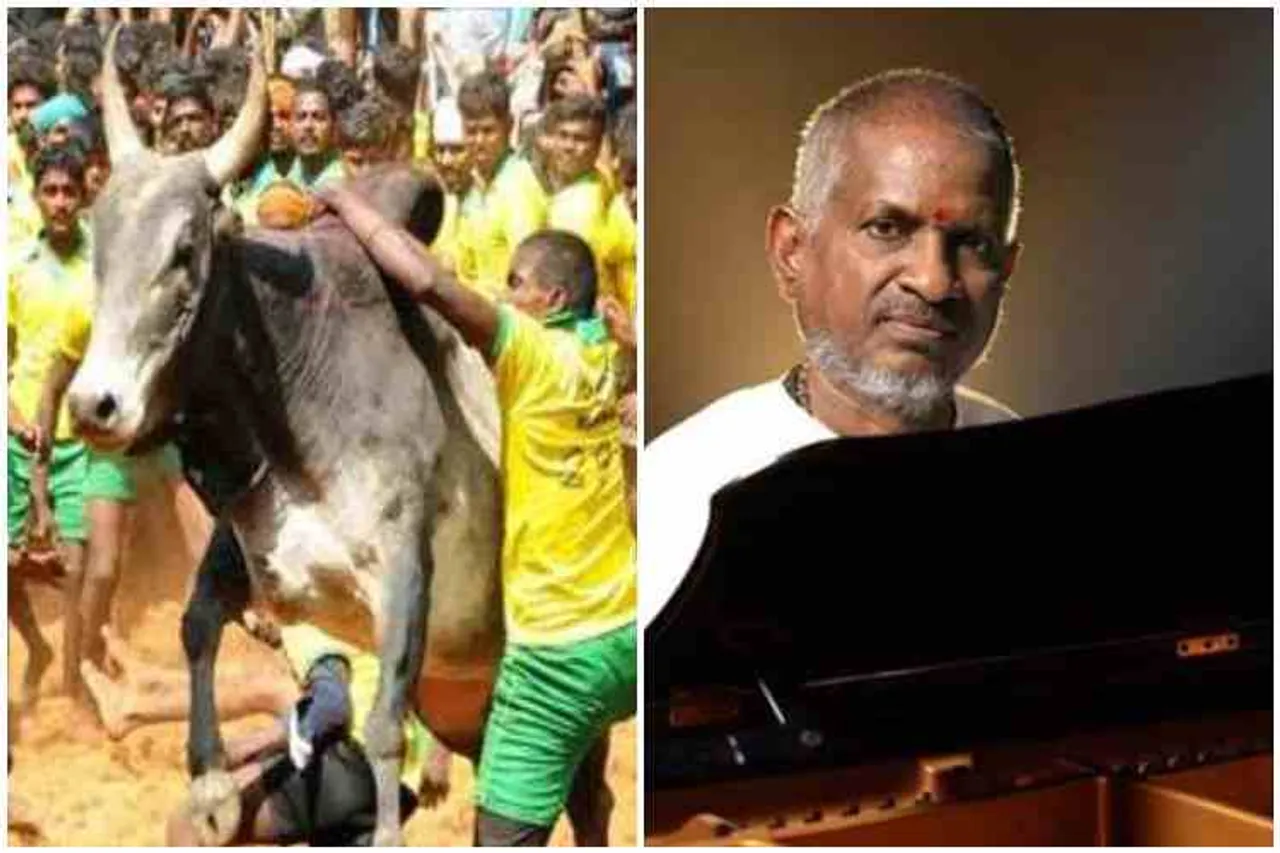 Hai guys, pongal, pongal 2020, pongal celebration, ilayaraja, kerala government, harivarasanam award, jallikattu, madurai, sabarimalai, makarajothi, military, modi, pongal wishes