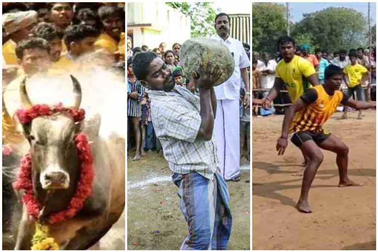 தமிழர் திருநாளில் தமிழர்களின் வீர விளையாட்டுகள்