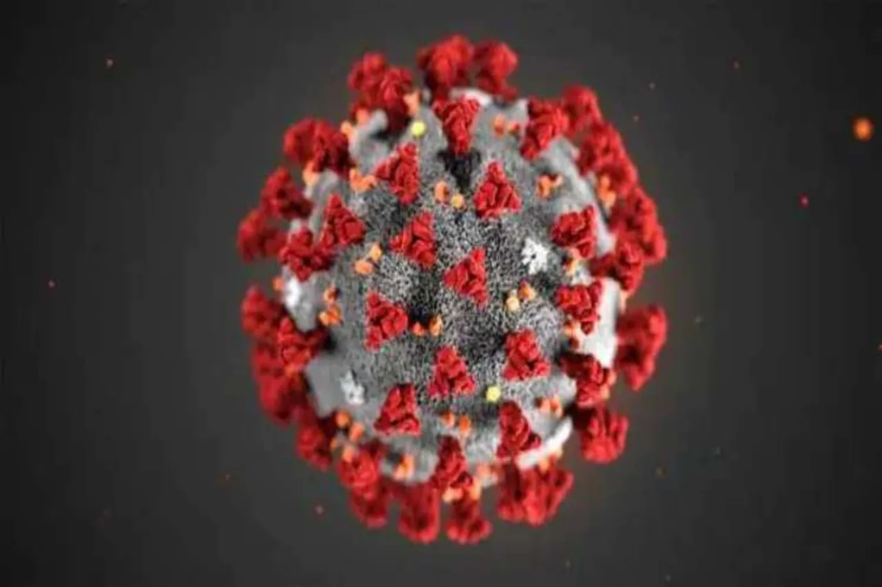 coronavirus outbreak , Coronavirus recent news, Coronavirus, novel coronavirus