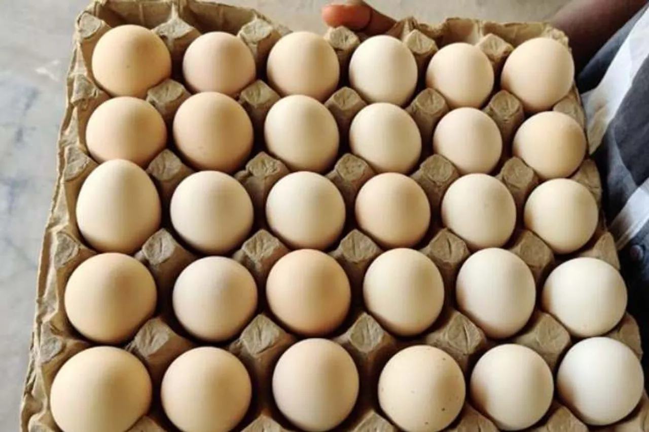 COVID-19, coronavirus, coronavirus rumors, chicken meat, eggs, chicken, கொரோனா வைரஸ், நாமக்கல் கோழிப் பண்ணையாளர்கள், 1 கோடி ரூபாய் பரிசு அறிவிப்பு, கோரோனா வதந்தி, hen egg farms namakkal, TNEPFMS, namakkal,egg farmers namakkal, rs 1 crore prize namakkal egg farmers