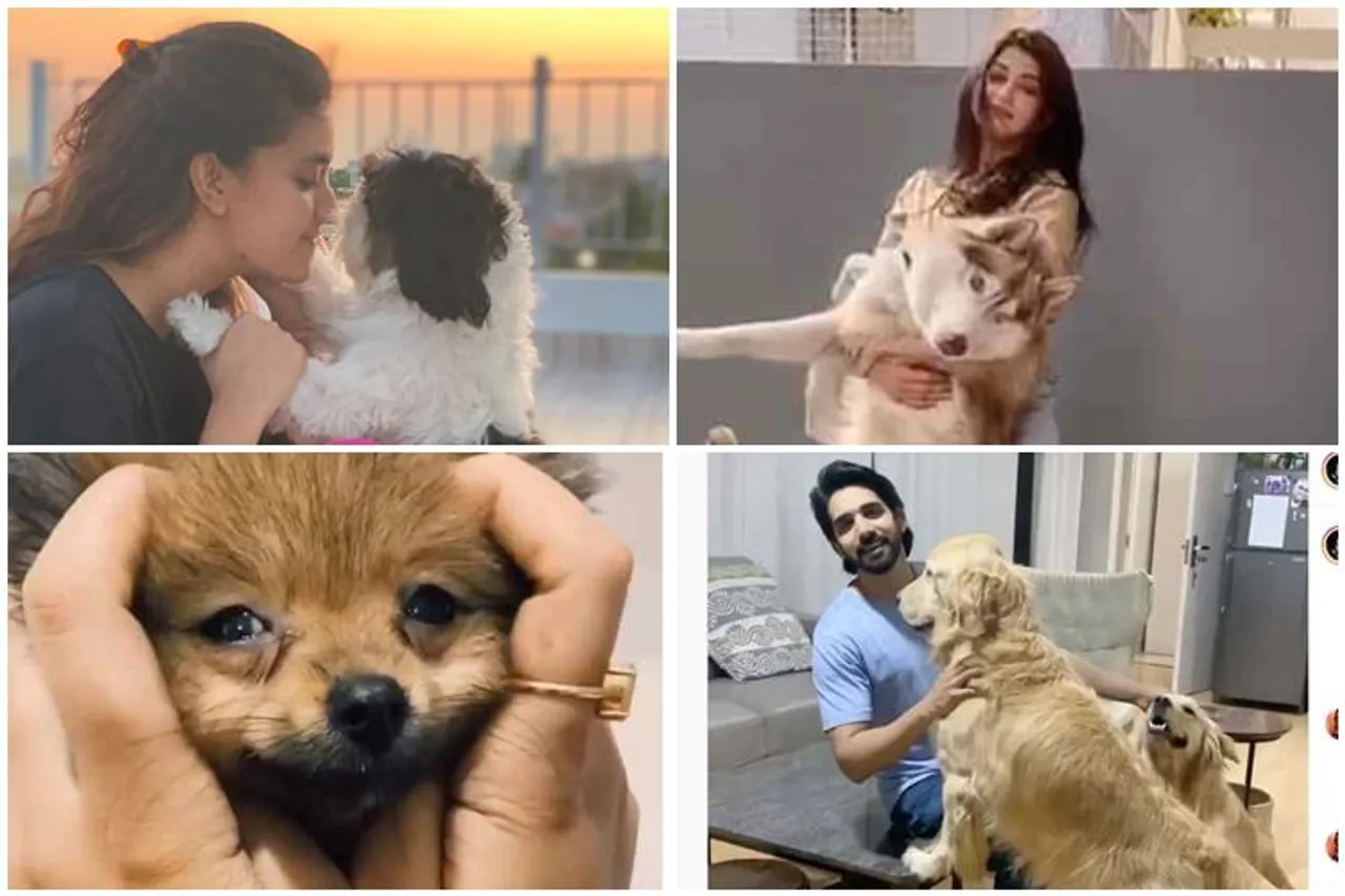 keerthy suresh with pets photo, keerthy suresh, pranitha, paayal rajput, charmme kaur, tollywood celebrities with pets photos, கீர்த்தி சுரேஷ், பிரனிதா, பாயல் ராஜ்புத், சுஷந்த், சார்ம் கவுர், actress pranitha pet viral videos, viral viedeo, paayal rajput with pet viral video, sushanth with pet dogs viral video, கீர்த்தி சுரேஷ் நாய்க்குட்டியுடன் புகைப்படம், Tamil news, Tamil TV news, Tamil video, Tamil viral video, Tamil trending video, தமிழ் வீடியோ, தமிழ் வைரல் வீடியோ, keerthy suresh instagram