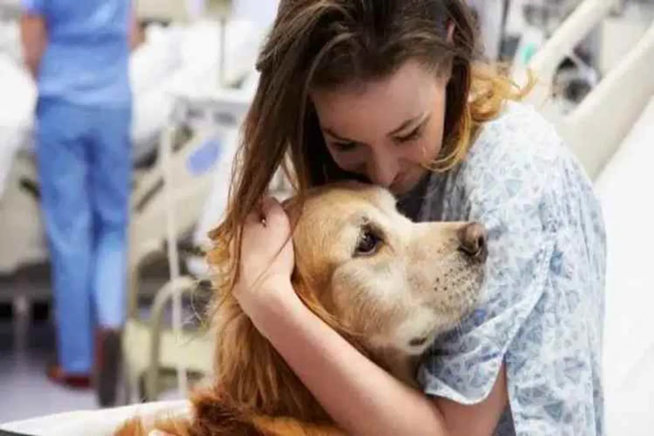 corona virus, therapy dogs, doctors and nurses, stress buster, managing stress, health, indian express, indian express news, covid19, coronavirus news, healthcare workers,coronavirus tamil news, coronavirus tamil nadu news, coronavirus chennai news, coronavirus Tamil nadu, coronavirus outbreak