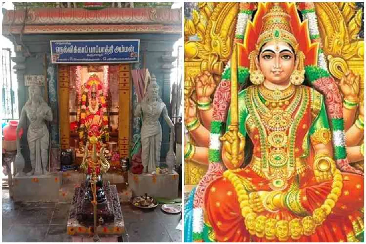 mariyamman, pappathi amman, karumariyamman, renugamba, மாரியம்மன், பாப்பாத்தி அம்மன், கருமாரியம்மன், ரேணுகாம்பாள், tamil deities, mariyamman deities, setu, சேட்டு, மார்வாடி, tamil nadu cultural study, tamil nadu people name study, people cultural study