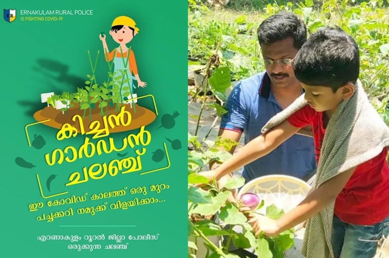 Home Garden Challenge during lockdown