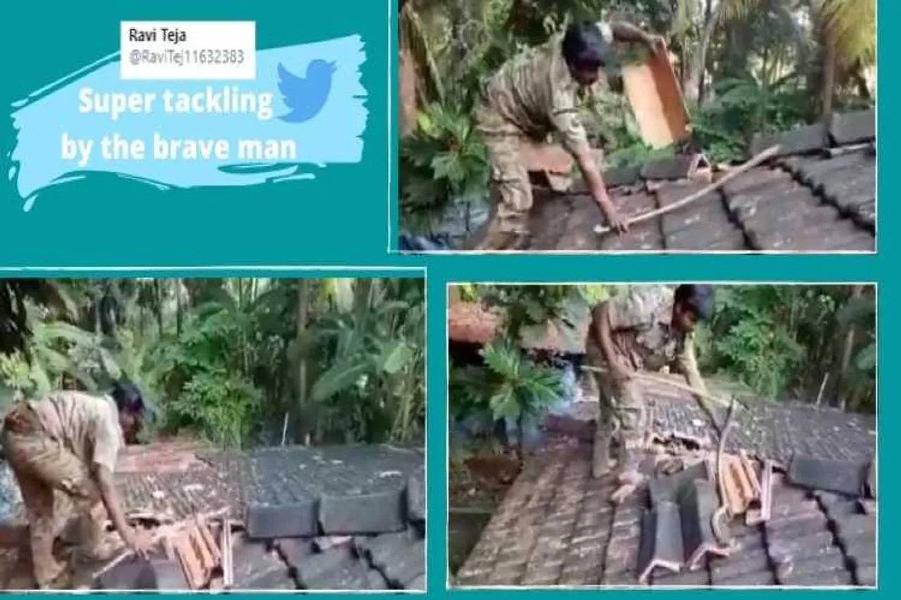 snake rescue viral video, Snake, Snake videos, snake rescue, Goa, பாம்பை வெறும் கைகளால் பிடித்த வன அலுவலர், வைரல் வீடியோ, கோவா வன அலுவலர், பாம்பு, forest department, Cotigao Wildlife Sanctuary, Trending news, Tamil Indian Express news