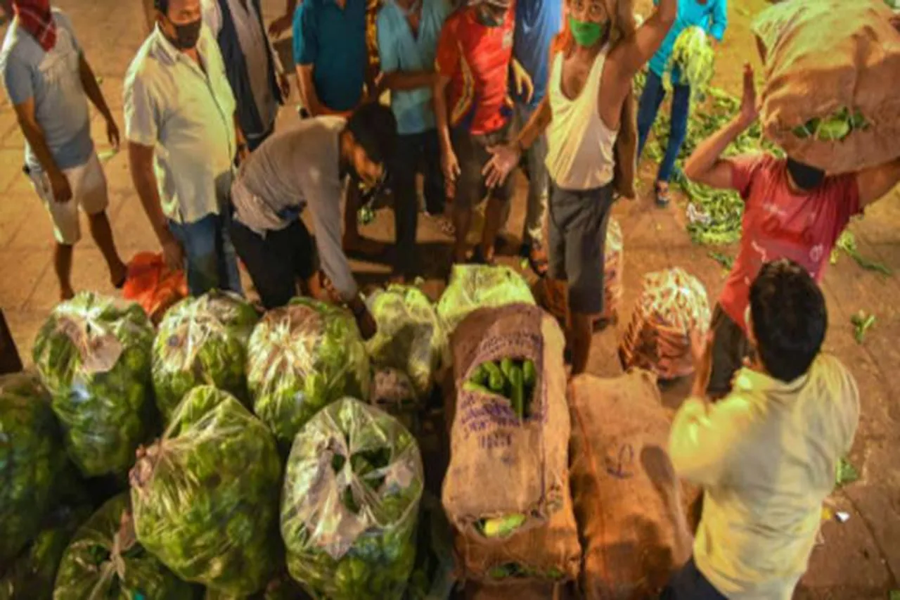 vegetables and fruits madras high court chennai tn government