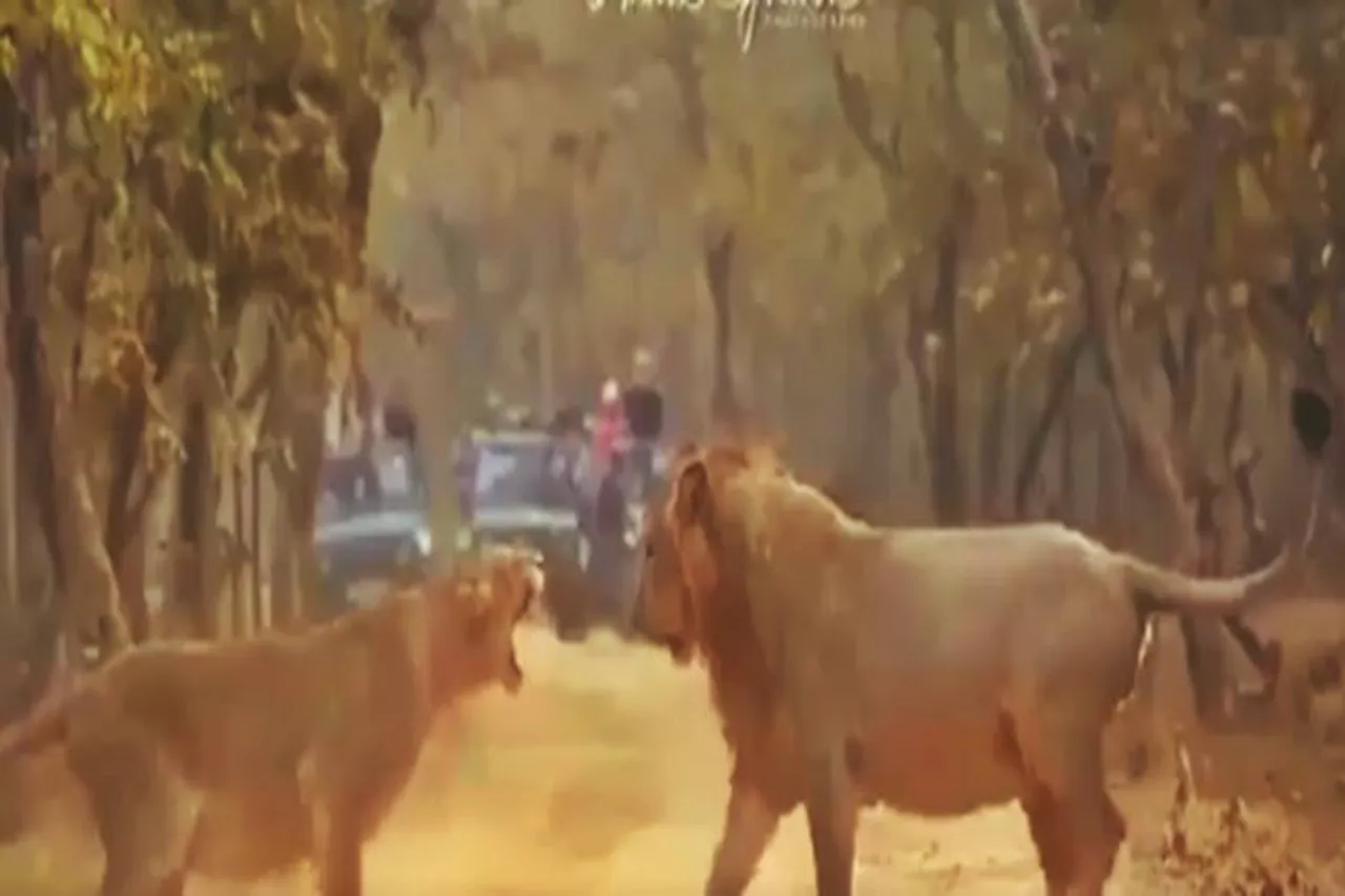 tamil viral video, animals fight viral video, social media viral, வைரல் வீடியோ, வைரல் செய்திகள, social media viral, latest tamil viral