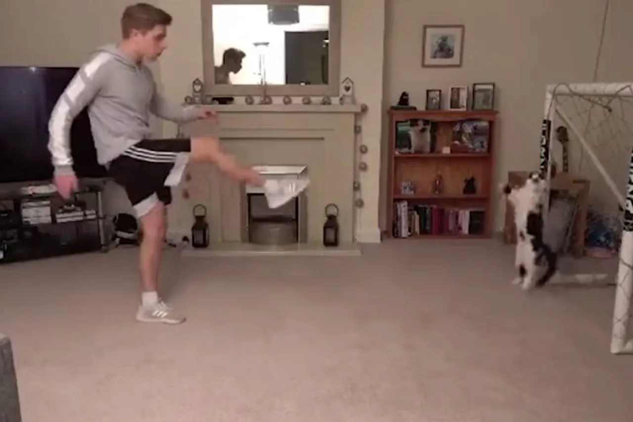 amazing cat playing foot ball, cat doing goal keeping, cat playing football viral video, cat playing viral video, கால்பந்து விளையாடும் பூனை, வைரல் வீடியோ, கோல் கீப்பிங் செய்யும் பூனை, தமிழ் வைரல் செய்திகள், தமிழ் வைரல் வீடியோ செய்திகள், tamil viral news, tamil viral video, tamil video news, latest news in tamil, latest viral news, latest tamil news
