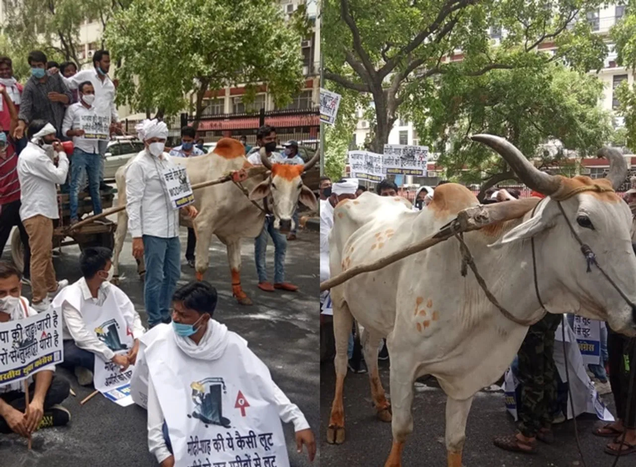 Youth Congress Stag protest against petroleum price hike at front of Shashtri Bhavan