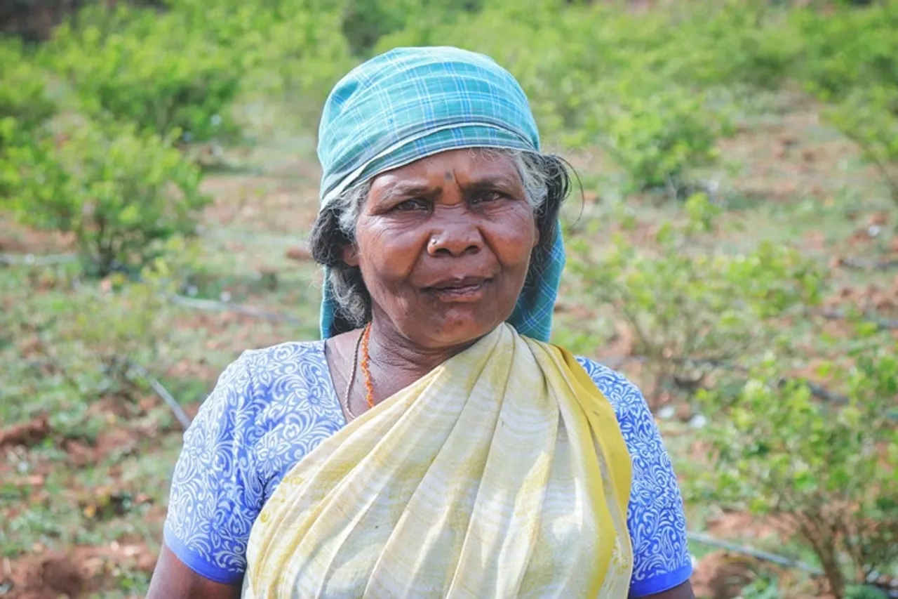 Coronavirus lockdown public transportation restrictions impacted daily life of Irular tribes in Coimbatore